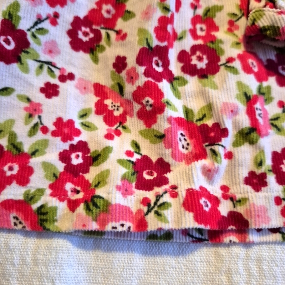 Gymboree girls size 2T Cozy Owl light weight corduroy shirt, 1 spot - Picture 2 of 6